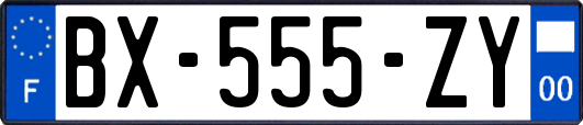 BX-555-ZY