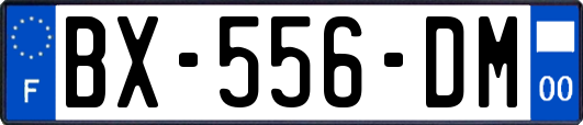 BX-556-DM