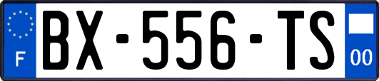 BX-556-TS