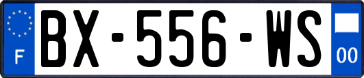 BX-556-WS