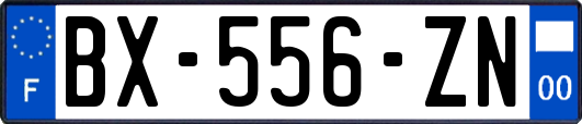 BX-556-ZN