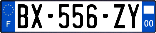 BX-556-ZY