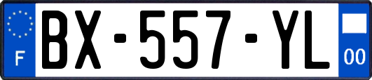 BX-557-YL