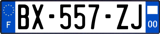 BX-557-ZJ