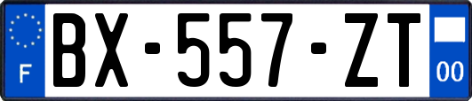 BX-557-ZT