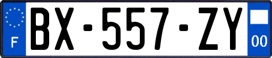 BX-557-ZY