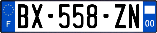 BX-558-ZN