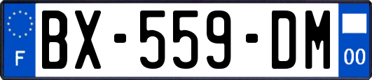 BX-559-DM