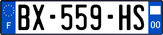 BX-559-HS