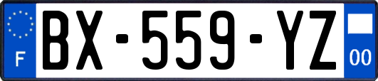 BX-559-YZ