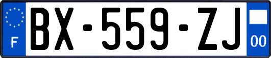 BX-559-ZJ