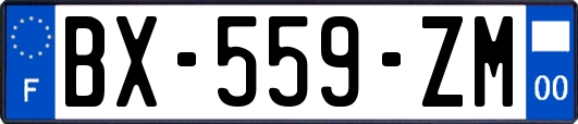 BX-559-ZM