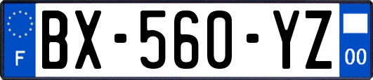 BX-560-YZ