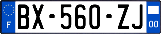 BX-560-ZJ