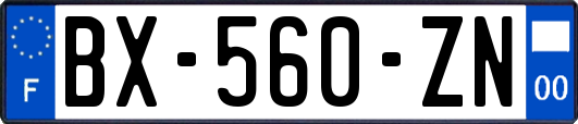 BX-560-ZN