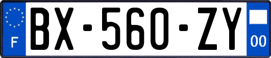 BX-560-ZY