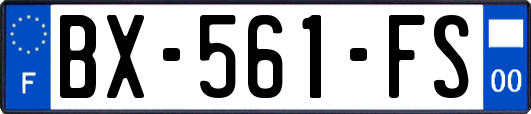 BX-561-FS