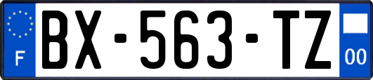 BX-563-TZ