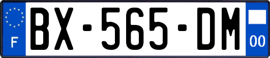 BX-565-DM