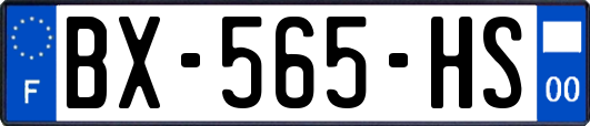 BX-565-HS