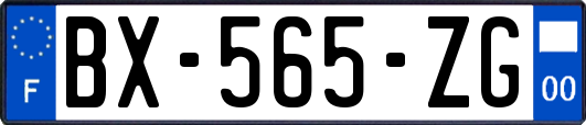 BX-565-ZG