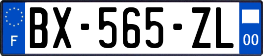 BX-565-ZL