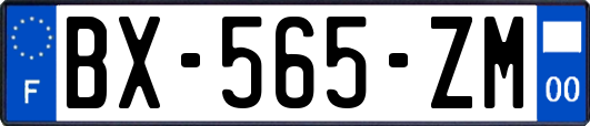 BX-565-ZM