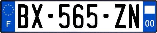 BX-565-ZN