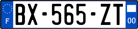 BX-565-ZT