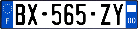 BX-565-ZY