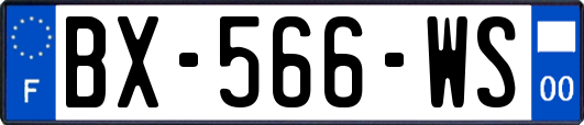 BX-566-WS