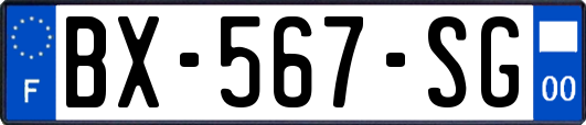 BX-567-SG