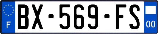 BX-569-FS