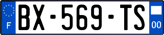 BX-569-TS