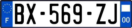 BX-569-ZJ