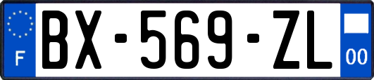 BX-569-ZL