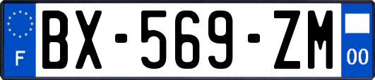 BX-569-ZM