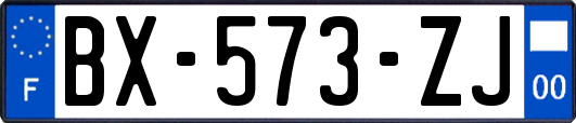 BX-573-ZJ