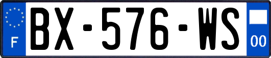 BX-576-WS