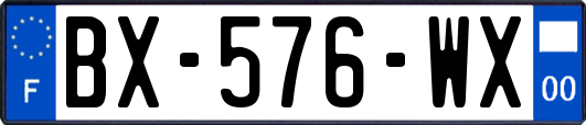 BX-576-WX