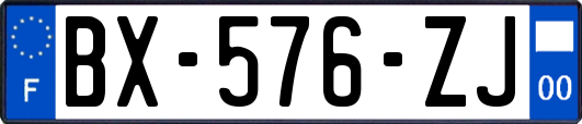 BX-576-ZJ