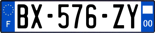 BX-576-ZY