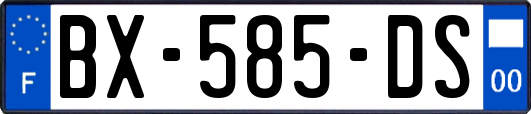 BX-585-DS