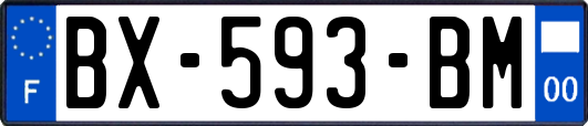 BX-593-BM