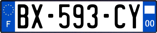 BX-593-CY