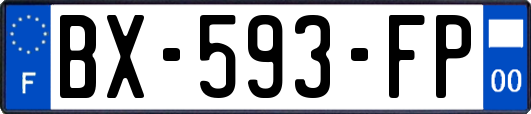 BX-593-FP