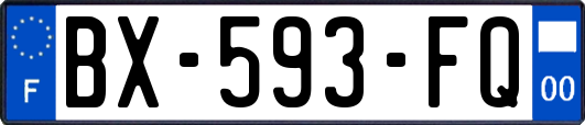 BX-593-FQ