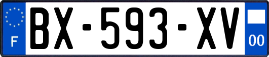 BX-593-XV