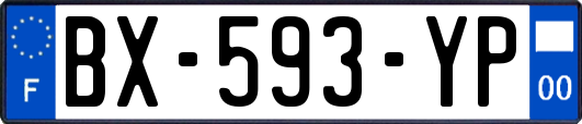 BX-593-YP