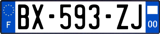 BX-593-ZJ